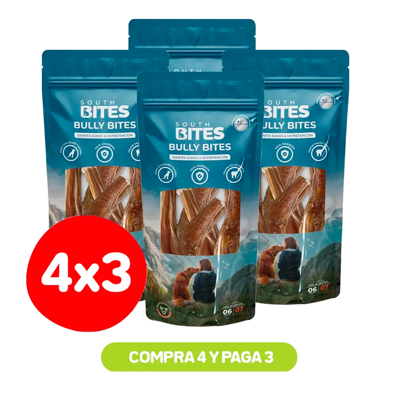 South Bites 4×3