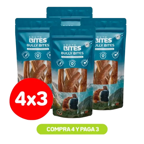 South Bites 4×3