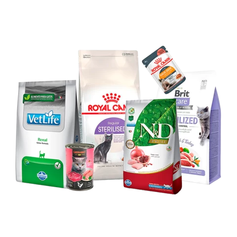 Selección de alimentos para gatos con descuento
