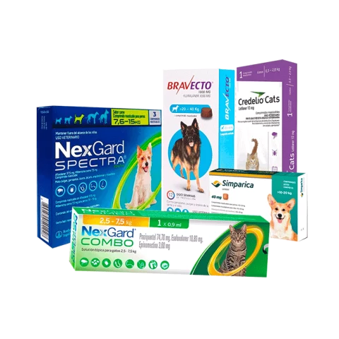 Antiparasitarios para perros y gatos