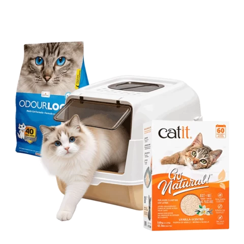 Selección de arenas y baños para gatos
