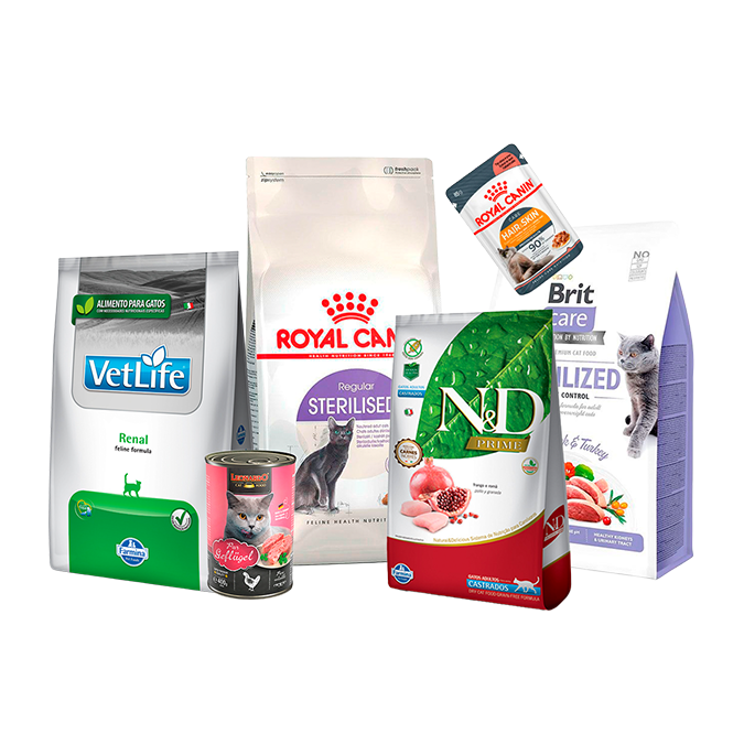 Selección de alimentos para gatos con descuento
