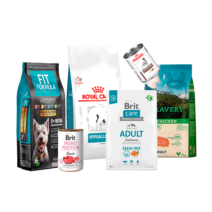 Selección de alimentos para perros con descuento