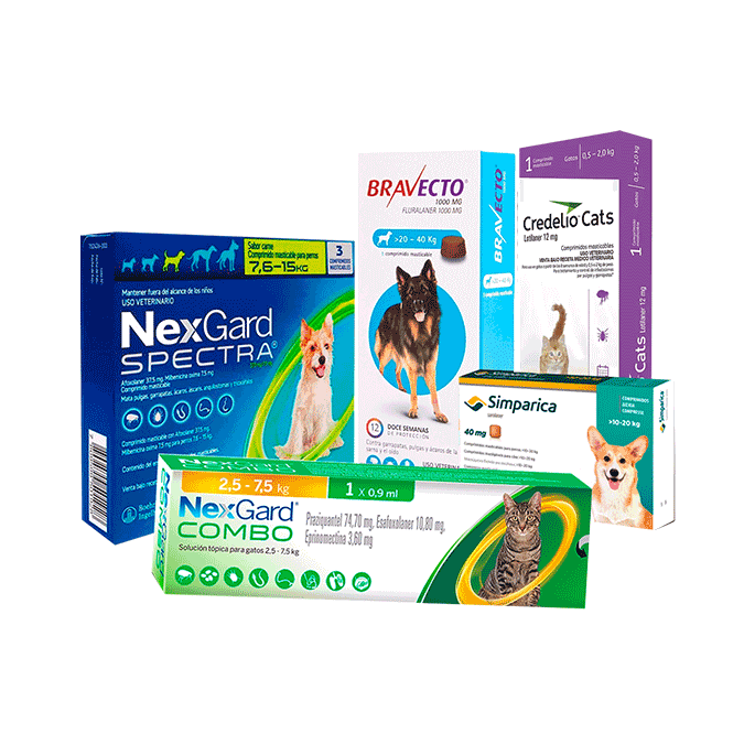 Antiparasitarios para perros y gatos