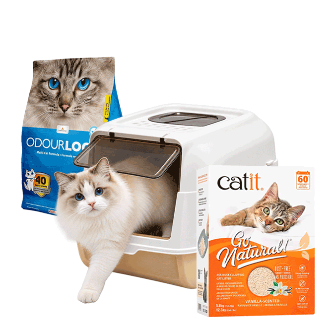 Selección de arenas y baños para gatos