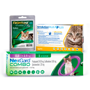 Antiparasitarios gatos