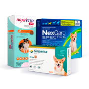 Antiparasitarios perros