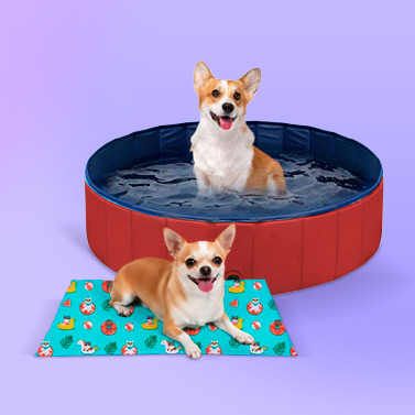 Liquidación Verano para Perro y Gato