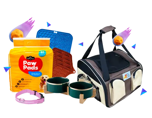 Productos marca Club