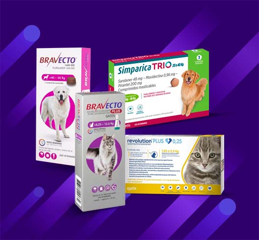 Antiparasitarios perros y gatos