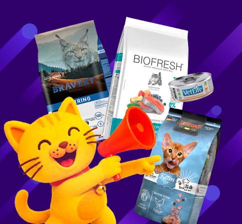 Gato feliz con Alimento Premium