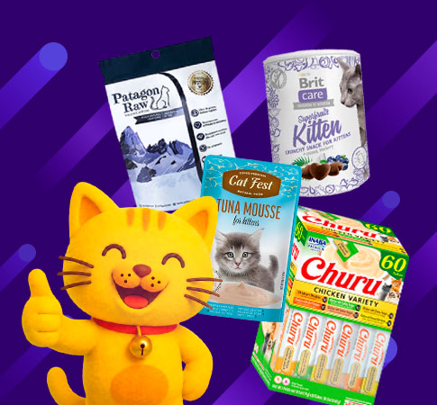 Packs oferta para gatos