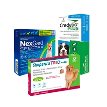 Antiparasitarios Perros