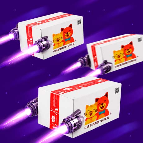 Cyber Envío Express