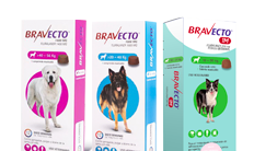 Bravecto Perros