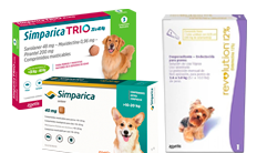 Simparica y Revolution Gatos