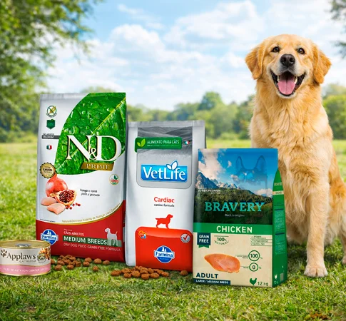 Perro feliz con Alimento Premium