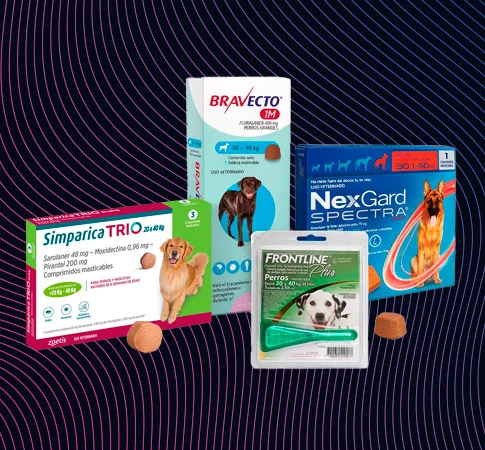 Antiparasitarios para perro