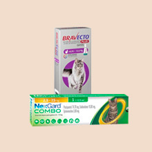 Antiparasitarios Gatos