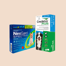 Antiparasitarios Perros