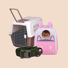 Transporte y seguridad