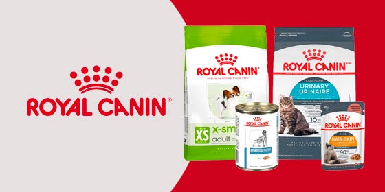 Alimento Royal Canin