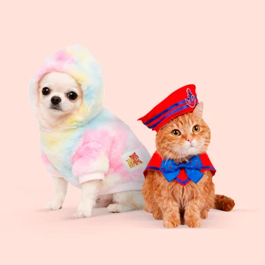 Compra Ropa y accesorios