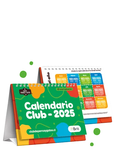 Calendario 2025