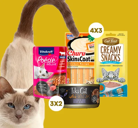 Packs oferta para gatos