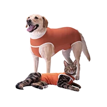 Rehabilitación perros y gatos