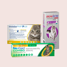 Antiparasitarios Gatos