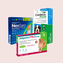 Antiparasitarios Perros