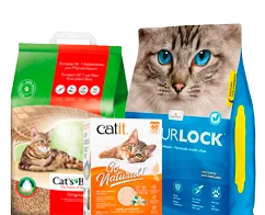 Transporte y seguridad