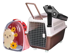 Transporte y seguridad