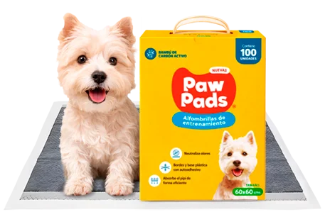 Paw Pads Box 100 Und