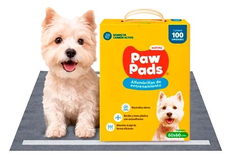 Paw Pads Box 100 Und