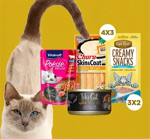 Snacks para gatos