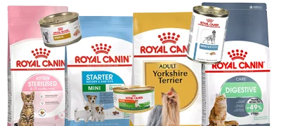 Ofertas Alimento Royal Canin