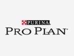 Pro Plan