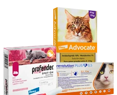 Antiparasitarios Gato