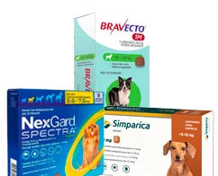 Antiparasitarios Perro