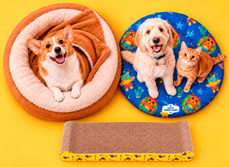 Selección de snacks para perros