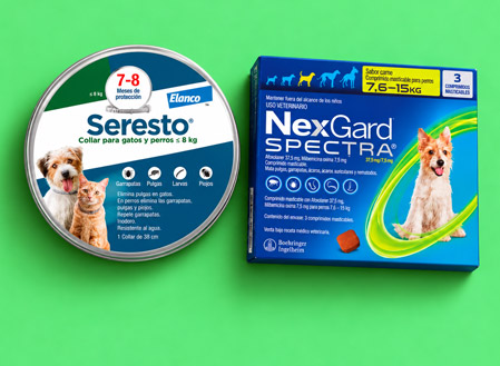 Selección de snacks para perros