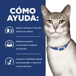 Hills Prescription Diet K/D Alimento Para Gato Cuidado Renal