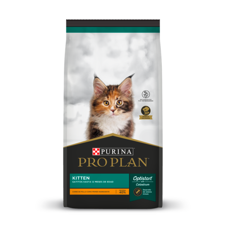 alimento Proplan Kitten gatos