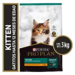 Pro plan Kitten