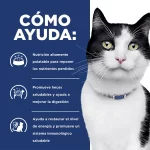Hills Prescription Diet I/D Alimento Húmedo Para Gato Cuidado Digestivo 156gr