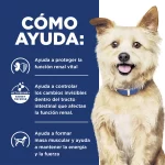 Hills Prescription Diet K/D Alimento Húmedo Para Perro Cuidado Renal 363 gr