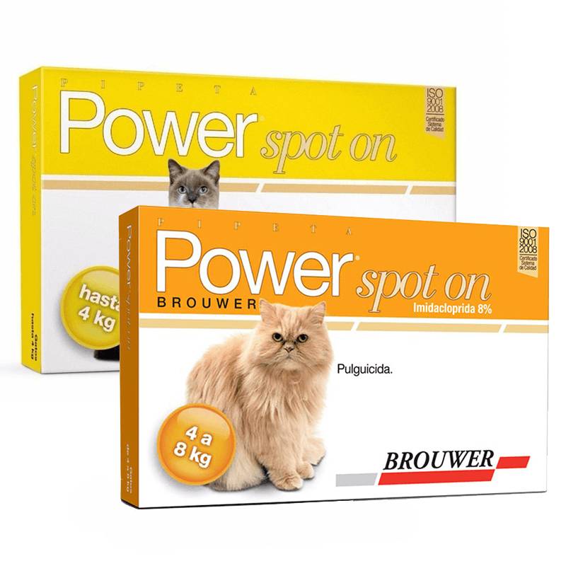 cobre esposa incondicional Pipetas Power Ultra Gatos - Club de Perros y Gatos