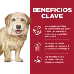 Hills Science Diet Small & Mini Senior Vitality Alimento Para Perro Senior Raza Pequeña y Mini